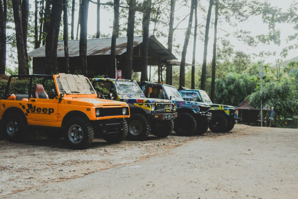 a row of jeeps parked in front of a forrest of trees