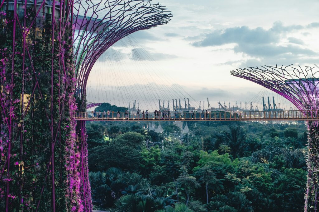 View from the upper bridges of the SuperTrees in Singapore