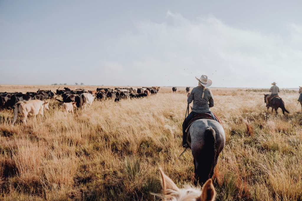 wrangler on a working ranch