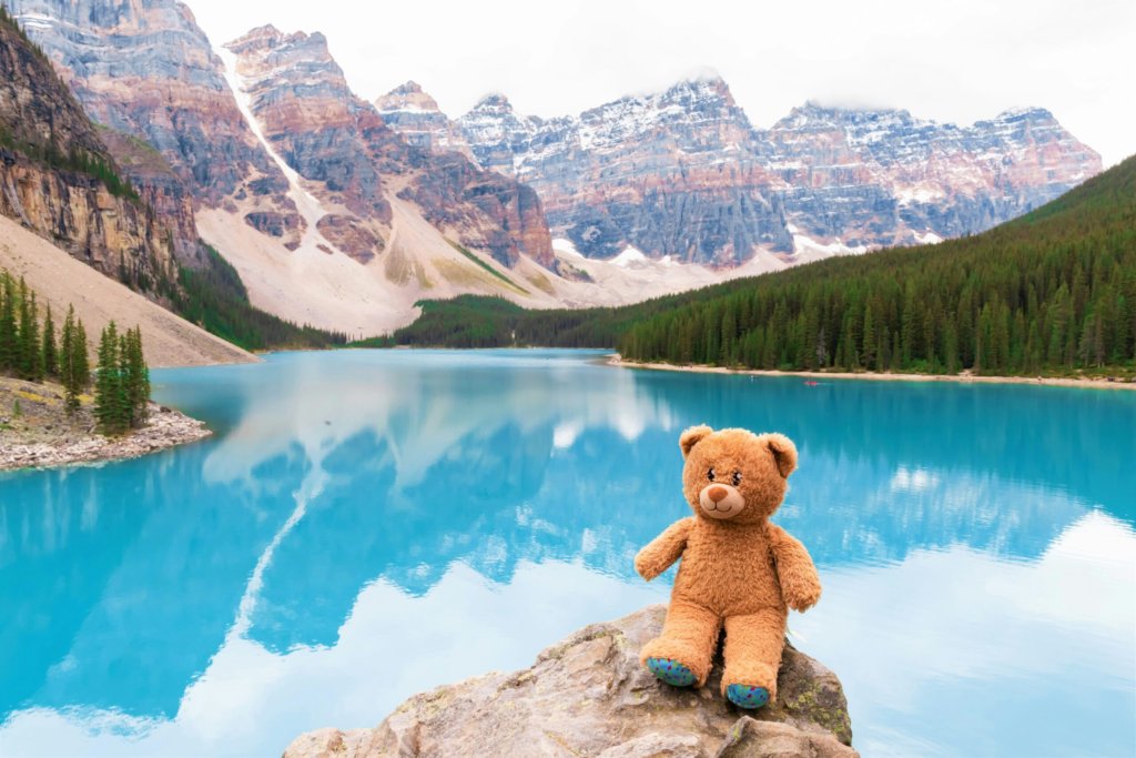 a teddy bear sits on a rock in front of an alpine lake surrounded by the Canadian mountains