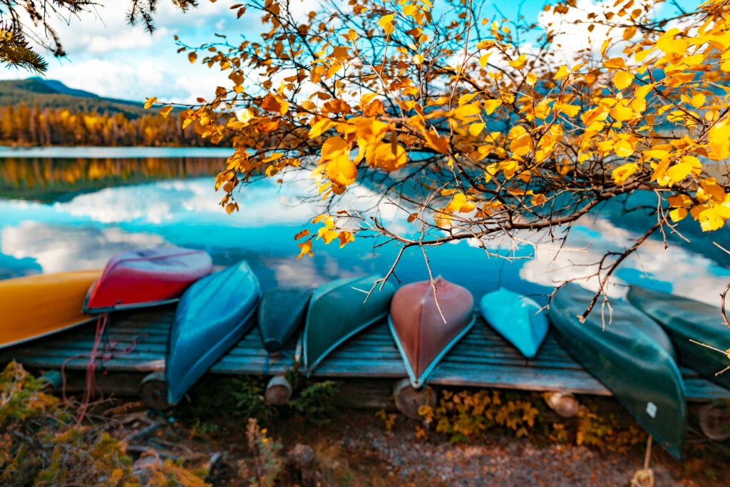 Colorful canoes laying beneath changing fall leaves