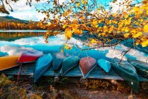 Colorful canoes laying beneath changing fall leaves