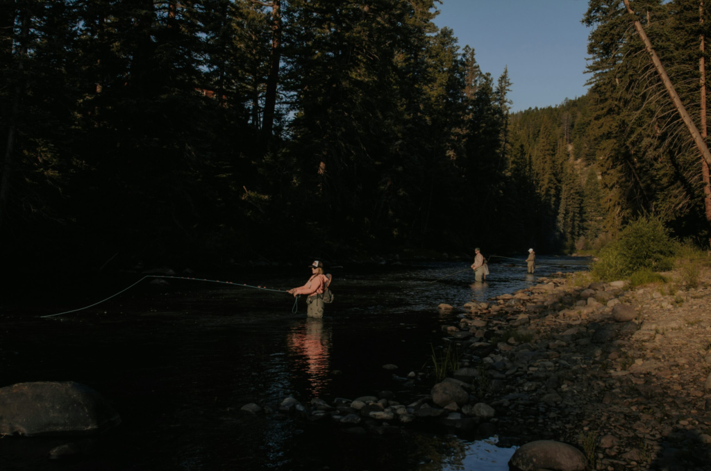 three men wade into a shallow river and cast their rods to fly fish