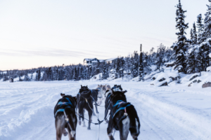 priscilla du preez s gw8r4xeto unsplash.webp