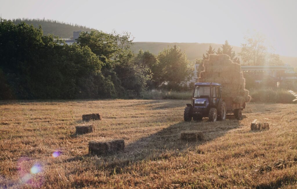 a tractor drives through a hay field with a trailer stacked with hay