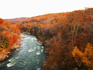 a river runs through orange and red trees during the fall season