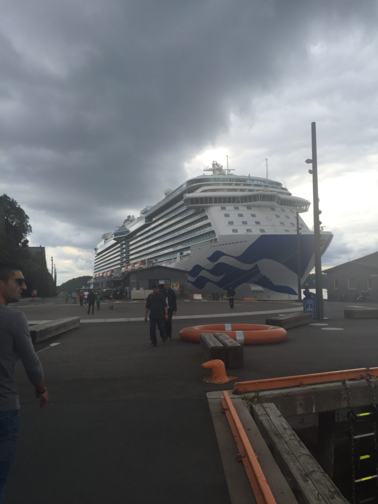 princess cruise ship docked at port