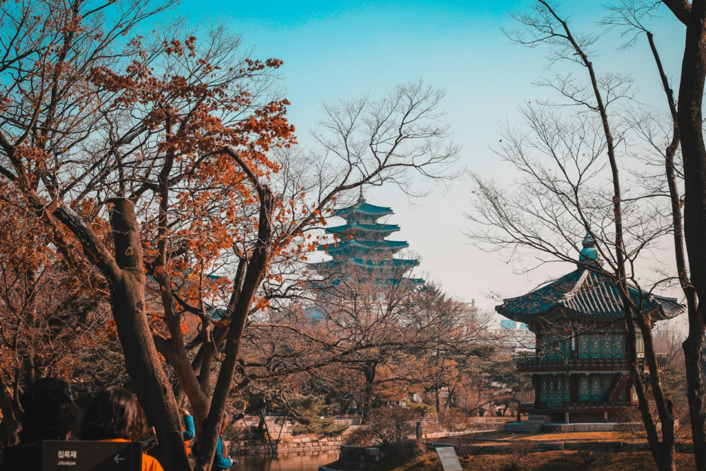 a botanical garden in South Korea overlooking several traditional buildings